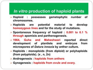 In vitro production of haploid plants
 Haploid : possesses gametophytic number of
chromosomes.
 Haploids are potential material to develop
homozygous lines and for the study of mutations.
 Spontaneous frequency of haploid : 0.001 to 0.1 %
through apomixis and parthenogenesis.
 1964, Guha and Maheshwari reported direct
development of plantlets and embryos from
microspores of Datura innoxia by anther culture.
 Haploids : monoploids (from diploid) or polyhaploids
(from polyploids). (x , n, 2n)
 Androgenesis : haploids from anthers
 Gynogenesis : haploids from ovule and ovary.
 