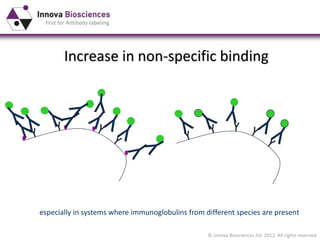 Non Specific Binding of Antibodies in Immunoassays 