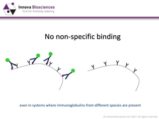 Non Specific Binding of Antibodies in Immunoassays 