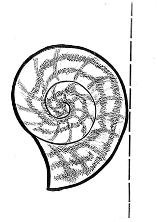 3 anys fitxes 51 a 100