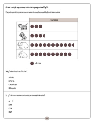 Observaelpictogramaycontestalaspreguntas30y31.
Elsiguientepictogramamuestralascríasquehannacidodeestosanimales.
Camadas
=2crías
30.¿Quéanimaltuvo21crías?
A.Gato.
B.Perro.
C.Hámster.
D.Conejo.
31.¿Cuántascríasmenostuvoelperroqueelhámster?
A. 7
B.11
C.14
D.21
11
 