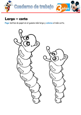 Largo – corto
Pega bolitas de papel en el gusano más largo y colorea el más corto.
 