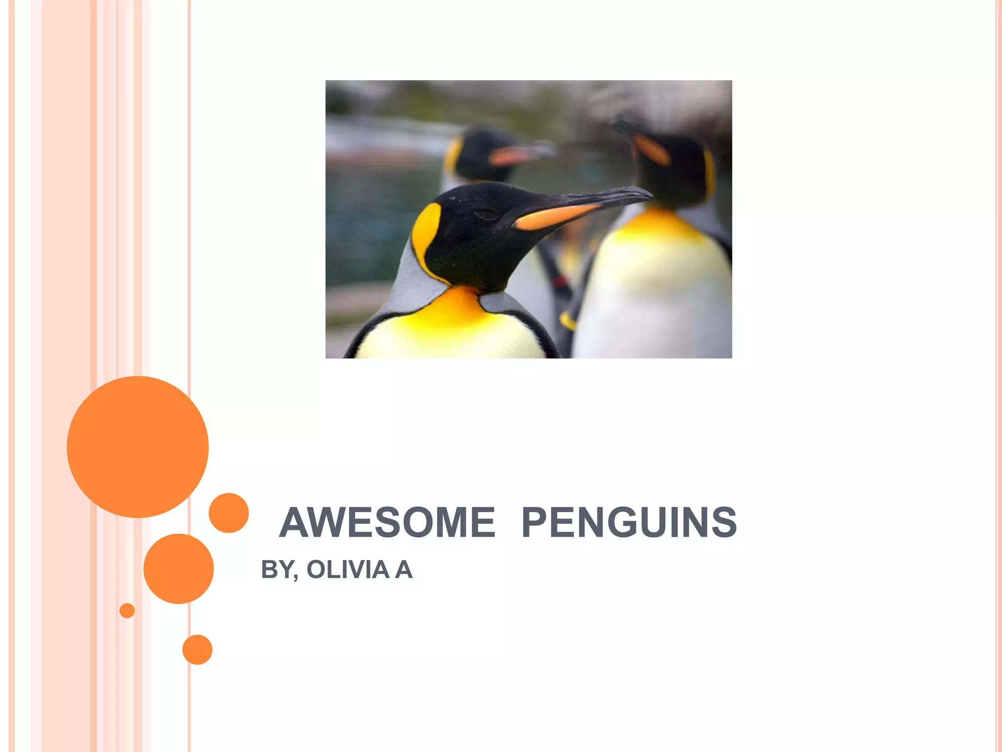 AWESOME PENGUINS
BY, OLIVIA A
 
