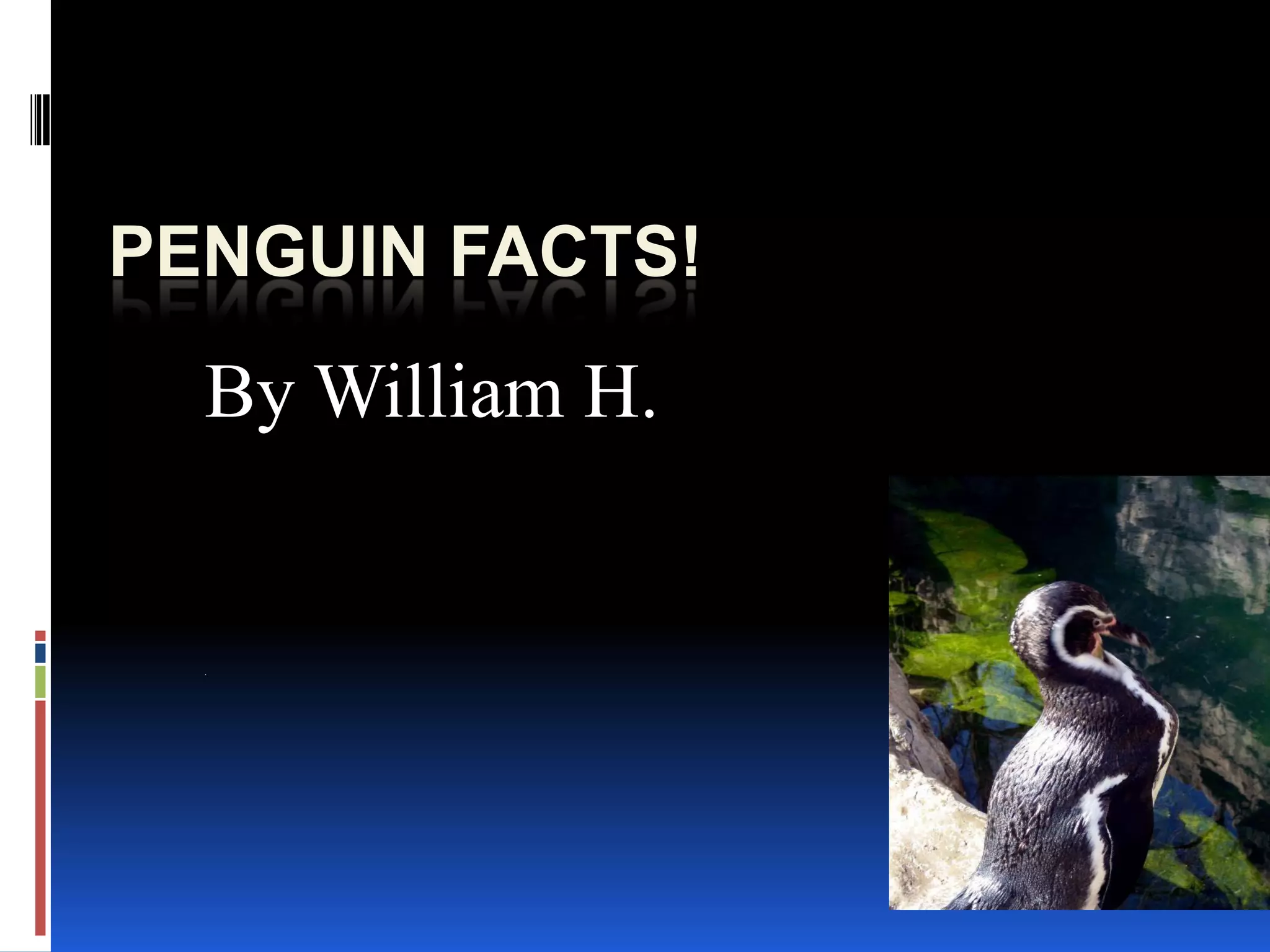 PENGUIN FACTS!
  By William H.


  .
 