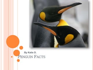 By Katie D.

PENGUIN FACTS
 