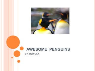 AWESOME PENGUINS
BY, OLIVIA A
 