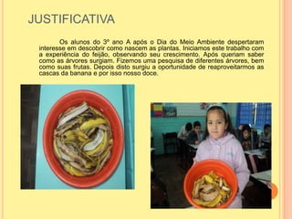 JUSTIFICATIVA
Os alunos do 3º ano A após o Dia do Meio Ambiente despertaram
interesse em descobrir como nascem as plantas. Iniciamos este trabalho com
a experiência do feijão, observando seu crescimento. Após queriam saber
como as árvores surgiam. Fizemos uma pesquisa de diferentes árvores, bem
como suas frutas. Depois disto surgiu a oportunidade de reaproveitarmos as
cascas da banana e por isso nosso doce.
 