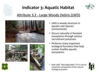 Indicator 3: Aquatic Habitat
Attribute 3.2 - Large Woody Debris (LWD)
• LWD is woody structure in
aquatic and riparian
env...