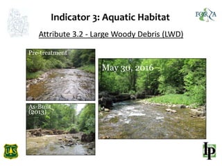 Indicator 3: Aquatic Habitat
Attribute 3.2 - Large Woody Debris (LWD)
Pre-treatment
As-Built
(2013)
May 30, 2016
 