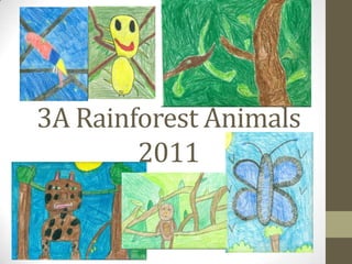 3A Rainforest Animals2011 