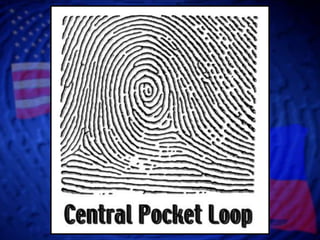 Central Pocket Loop Example Whorl Patterns | PPTX
