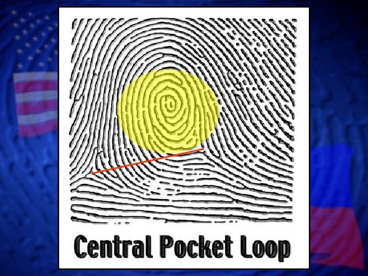 Whorl Patterns Whorl Patterns