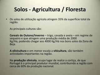 Solos - Agricultura / Floresta
• Os solos de utilização agrícola atingem 35% da superfície total da
  região.

   As principais culturas são:

   Cereais de Outono/Inverno – trigo, cevada e aveia – em regime de
   sequeiro e que atingem uma produção média de 2000
   Kg/Ha, podendo chegar aos 4000 Kg/Há nos bons solos da Zona de
   Beja.

   A olivicultura e em menor escala a viticultura, são também
   actividades importantes na região.

   Na produção silvícola, ocupa lugar de realce a cortiça, de que
   Portugal é o principal produtor mundial, contribuindo a região com
   cerca de 60% da produção nacional.
 
