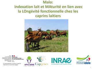 Malo:
indexation lait et MAturité en lien avec
la LOngévité fonctionnelle chez les
caprins laitiers
1
La responsabilité du ministère en charge de
l’agriculture ne saurait être engagée.
 