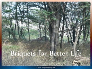 AA   BB   FF




Briquets for Better Life
        African Briquet Factory PLC
 