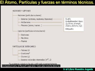 El Átomo, Partículas y fuerzas en términos técnicos.
 