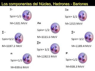 Los componentes del Núcleo, Hadrones - Bariones
 