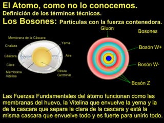 Las Fuerzas Fundamentales del átomo funcionan como las
membranas del huevo, la Vitelina que envuelve la yema y la
de la cascara que separa la clara de la cascara y está la
misma cascara que envuelve todo y es fuerte para unirlo todo.
Bosones
Bosón W+
Bosón W-
Bosón Z
Gluon
 