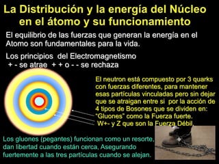 El neutron está compuesto por 3 quarks
con fuerzas diferentes, para mantener
esas partículas vinculadas pero sin dejar
que se atraigan entre si por la acción de
4 tipos de Bosones que se dividen en:
“Gluones” como la Fuerza fuerte.
W+- y Z que son la Fuerza Débil.
El equilibrio de las fuerzas que generan la energía en el
Atomo son fundamentales para la vida.
Los principios del Electromagnetismo
+ - se atrae + + o - - se rechaza
Los gluones (pegantes) funcionan como un resorte,
dan libertad cuando están cerca, Asegurando
fuertemente a las tres partículas cuando se alejan.
 