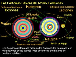 Leptones
Las Particulas Básicas del Atomo, Fermiones
-Los Fermiones integran la masa de los Protones, los neutrones y en
los Electrones de los átomos y los bosones la energía que los
mantiene estables.
Guones
Hadrones
Bosones
W-
Bosón de Higgs
Fotón
Electrón
Positrón
Quarks
Antiquark
Particulas de intercambio
Particulas extranucleares
W+Z
Particulas Nucleares
Neutrón
Protón
Pión+
Mesón
Antiquarks
Kaón
-
 