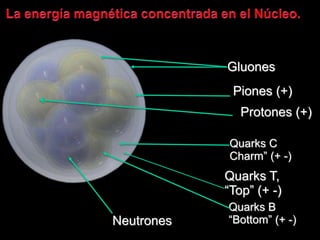 Neutrones
Quarks T,
“Top” (+ -)
Piones (+)
Protones (+)
Quarks B
“Bottom” (+ -)
Quarks C
Charm” (+ -)
Gluones
 
