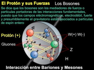 El Protón y sus Fuerzas
Protón (+) W(+) W(-)
Gluones
Los Bosones
Se dice que los bosones son los mediadores de fuerza o
particulas portadoras de las interacciones fundamentales,
puesto que los campos eléctromagnéticos, electrodébil, fuerte
y presumiblemente el gravitatorio están asociados a partículas
de espín entero
Interacción entre Bariones y Mesones
Z
H
 