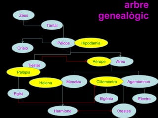 arbre genealògic Zeus Tàntal Pèlops Hipodàmia Tiestes Atreu Agamèmnon Menelau Orestes Ifigènia Electra Pelòpia Clitementra Helena Egist Crísip Aèrope Hermíone 