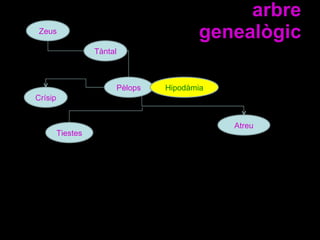 arbre genealògic Zeus Tàntal Pèlops Hipodàmia Tiestes Atreu Crísip 