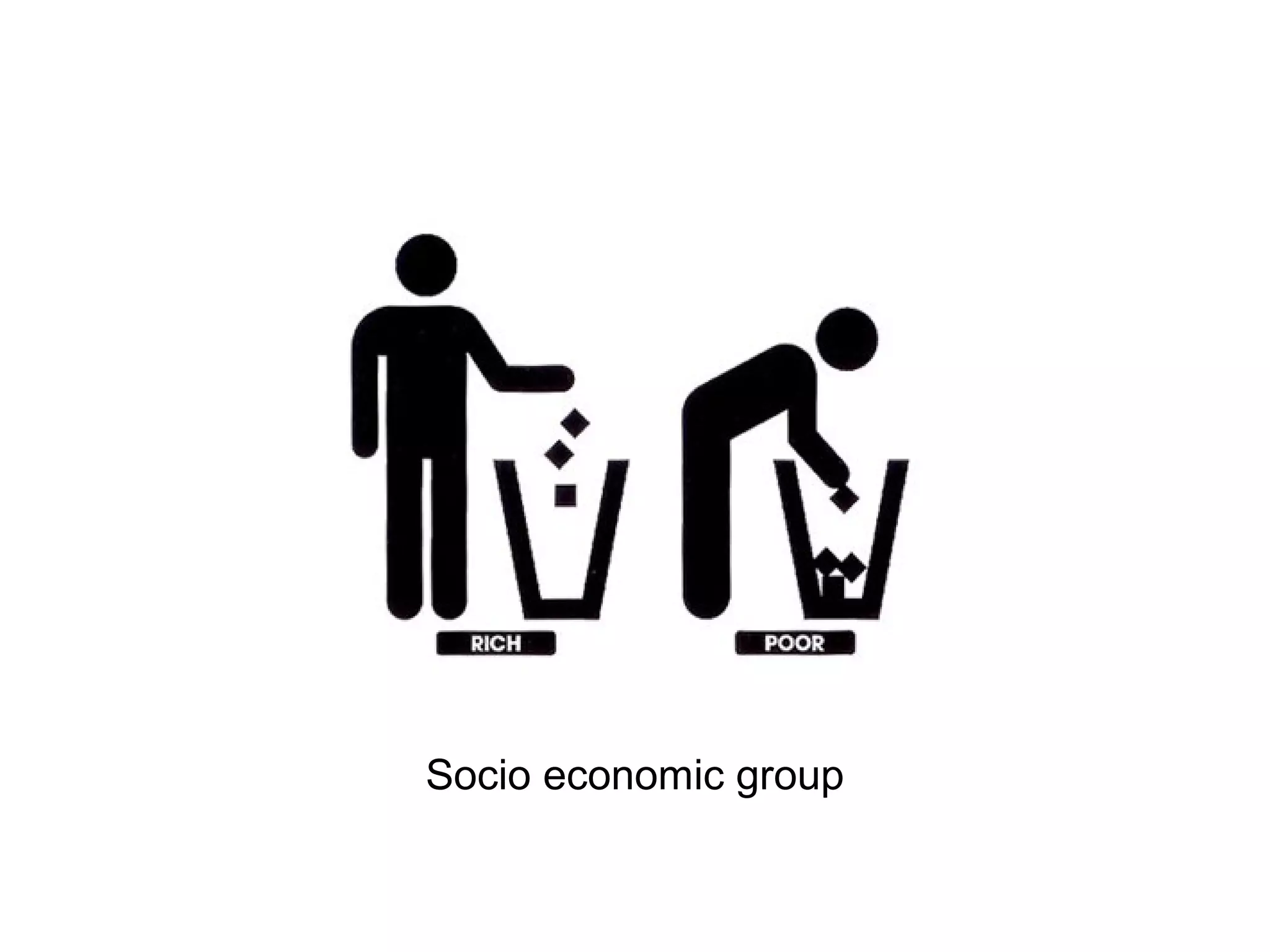 Socio economic group
 