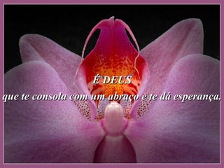 É DEUS que te consola com um abraço e te dá esperança. 