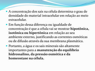  A concentração dos sais na célula determina o grau de
  densidade do material intracelular em relação ao meio
  extracelular.
 Em função dessa diferença ou igualdade de
  concentração é que a célula vai se mostrar hipotônica,
  isotônica ou hipertônica em relação ao seu
  ambiente externo, justificando as correntes osmóticas
  ou de difusão através da sua membrana plasmática.
 Portanto, a água e os sais minerais são altamente
  importantes para a manutenção do equilíbrio
  hidrossalino, da pressão osmótica e da
  homeostase na célula.
 