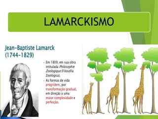 LAMARCKISMO
Departamento de Teologia da Assembléia de Deus de Caçapava-SP - Curso Básico
CETADEB
36
 