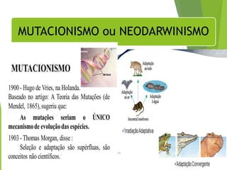 MUTACIONISMO ou NEODARWINISMO
Departamento de Teologia da Assembléia de Deus de Caçapava-SP - Curso Básico
CETADEB
38
 