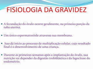 FISIOLOGIA DA GRAVIDEZ
 A fecundação do óvulo ocorre geralmente, na primeira porção da
tuba uterina.
 Um único espermatozóide atravessa sua membrana.
 Isso dá início ao processo de multiplicação celular, cujo resultado
final é o desenvolvimento de uma criança.
 Durante as primeiras semanas após a implantação do óvulo, sua
nutrição vai depender da digestão trofoblástica e da fagocitose do
endométrio.
 