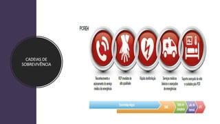CADEIAS DE
SOBREVIVÊNCIA
 