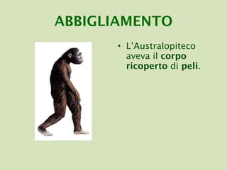 ABBIGLIAMENTO L’Australopiteco aveva il  corpo ricoperto  di  peli . 