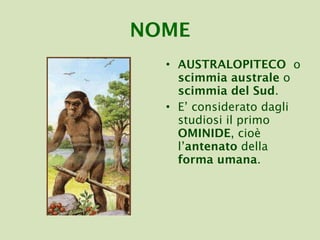AUSTRALOPITECO  o  scimmia australe  o  scimmia del Sud . E’ considerato dagli studiosi il primo  OMINIDE , cioè l’ antenato  della  forma umana . NOME 