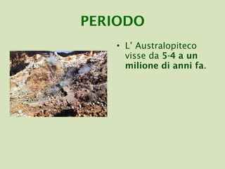 PERIODO L’ Australopiteco visse da  5-4 a un milione di anni fa . 
