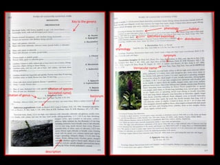 Key to the genera
citation of genus
citation of species
(accepted name)
basionym
description
phenology habitat
specimen examined
distribution
etymology
Vernacular name
synonym
 