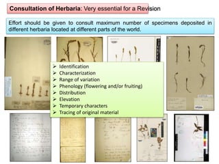 Consultation of Herbaria: Very essential for a Revision
Effort should be given to consult maximum number of specimens deposited in
different herbaria located at different parts of the world.
 Identification
 Characterization
 Range of variation
 Phenology (flowering and/or fruiting)
 Distribution
 Elevation
 Temporary characters
 Tracing of original material
 