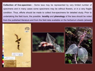 Collection of live-specimen : Some taxa may be represented by very limited number of
specimens and in many cases some specimens may be without flowers, or in a very fragile
condition. Thus, efforts should be made to collect live-specimens for detailed study. Prior to
undertaking the field tours, the possible locality and phenology of the taxa should be noted
from the published literature and from the field data available on the herbarium sheets (already
deposited at different herbaria).
 