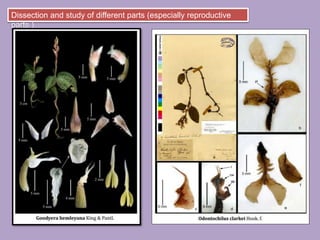 Dissection and study of different parts (especially reproductive
parts )
 