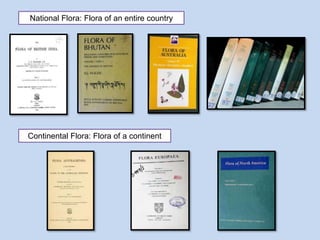National Flora: Flora of an entire country
Continental Flora: Flora of a continent
 