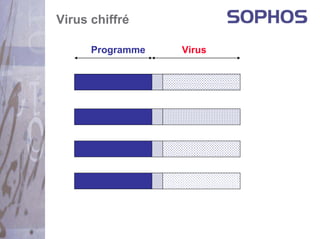 Virus chiffré

      Programme   Virus
 