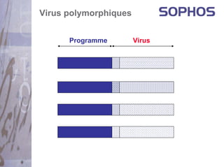Virus polymorphiques


      Programme        Virus
 