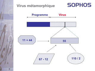 Virus métamorphique

        Programme     Virus




  11 + 44               55




            67 - 12           110 / 2
 