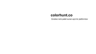 colorhunt.co
Ücretsiz renk paleti sunan açık bir platformdur
 