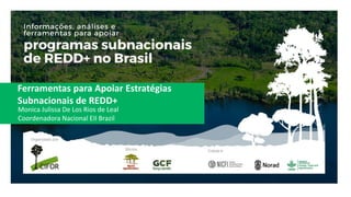 Ferramentas para Apoiar Estratégias
Subnacionais de REDD+
Monica Julissa De Los Rios de Leal
Coordenadora Nacional EII Brazil
 