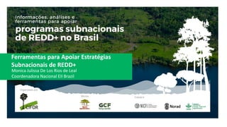 Ferramentas para Apoiar Estratégias
Subnacionais de REDD+
Monica Julissa De Los Rios de Leal
Coordenadora Nacional EII Bra...