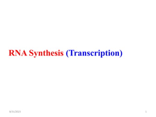 RNA Synthesis (Transcription)
1
8/31/2023
 